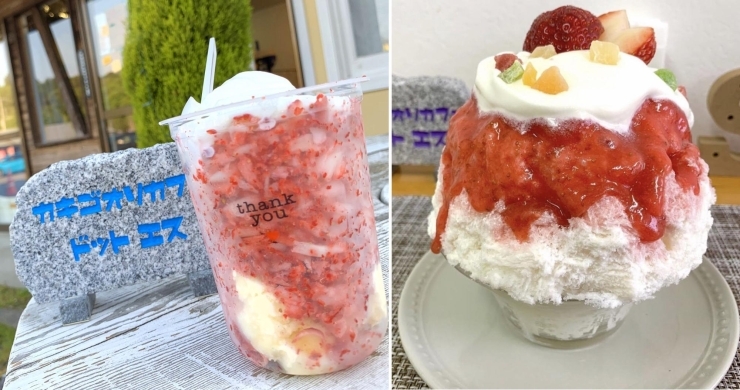 カキゴオリカフェドットエス「◆◆【笠間応援：未来プロジェクト】参加店のご紹介⑩割烹 天芳／カキゴオリカフェドットエス／そば処つたや／手打ちそば柏屋／鍛冶屋◆◆」