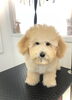 ブロー終わりました〜「はじめまして　^o^」