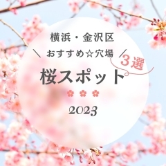 【穴場☆桜スポット】金沢区のおススメ桜スポット3選！