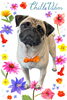 「Dog salon mofu mofu　余市町」