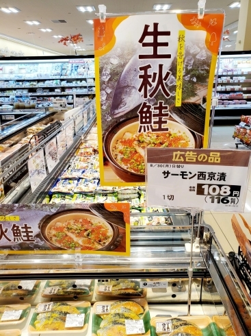 「鮮魚売場に、秋の味覚《生秋鮭》が並びました❕」