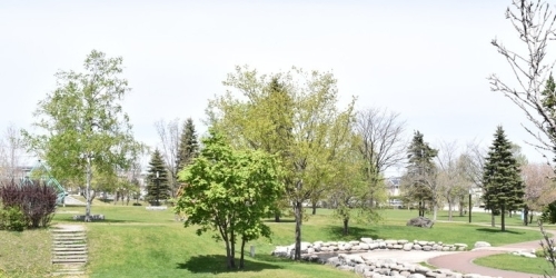 十勝家族で楽しめる公園特集 まいぷれ 帯広 十勝 十勝家族で楽しめる公園特集 まいぷれ 帯広 十勝