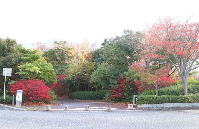 新潟市の紅葉スポット 新潟市のおでかけ情報まとめ まいぷれ 新潟市 新潟市の紅葉スポット 新潟市のおでかけ情報まとめ まいぷれ 新潟市