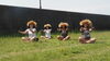 「体験受付(月)10:15-（土）12:20- お子様連れOKです！踊りましょう！！」