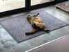 「もふもふのおなか」