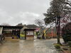 「松阪市　田口梅林園🌸」