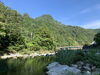 「夏の川涼み✨」
