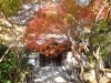 紅葉 ※12/26までにお届け 01.jpg