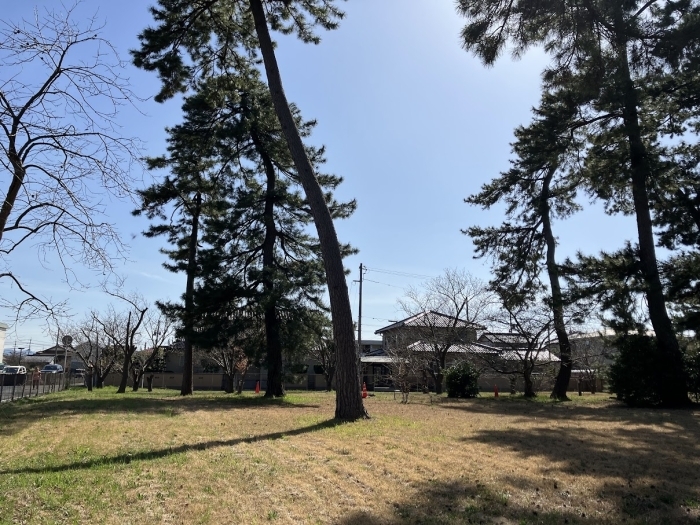 皆生温泉桜の園  米子市