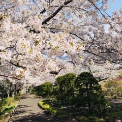 手宮公園