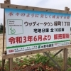 土地販売
