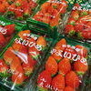 「岩手県産　「いちご」の入荷も始まっていますよー」