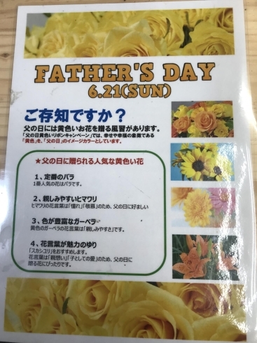 父の日に観葉植物のプレゼント Little Flower 小さな花屋 リトルフラワー のニュース まいぷれ 新居浜市 父の日に観葉植物のプレゼント Little Flower 小さな花屋 リトルフラワー のニュース まいぷれ 新居浜市