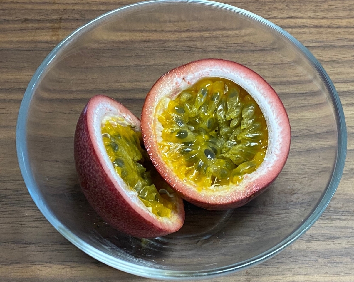 船橋産のパッションフルーツが食べられる 梨農家の船芳園が栽培して販売 船橋トピックス 身近にあるニュースを日々お届け まいぷれ 船橋市 船橋産のパッションフルーツが食べられる 梨農家の船芳園が栽培して販売 船橋トピックス 身近にあるニュースを日々お届け まいぷれ 船橋市