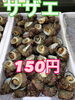 「岩牡蠣販売中‼️」