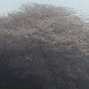 「4月になりました。」