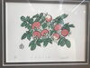 「札幌市厚別区の絵画などの美術品の遺品整理、生前整理、引っ越し前整理の出張買取は当店へ！」