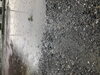 駐車場との境「凄い雷雨」