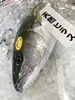 「魚魚市場鮮魚コーナーおすすめは「アマダイ」です♪」