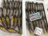「魚魚市場鮮魚コーナーおすすめは「イサキ」「クロムツ」です♪」