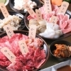 【各種宴会】がっつりお肉とお酒を楽しむ！2時間飲み放題付「銀座コース」