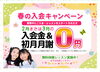 春の入会キャンペーン中🌸「１音違いで大違い！🔰初心者向け似ているけど全く違う英単語　⭐️【出雲市の英語教室ドリーム塾】⭐️」