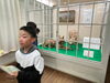 エゾオオカミ…🐺「北大植物園に行ってきました🌴🌵✨【札幌市北区篠路　放課後等デイサービス　児童発達支援】」