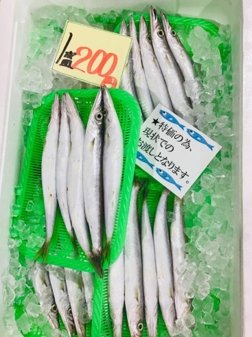 「魚魚市場鮮魚コーナーおすすめは「愛知県産あゆ」「お買い得‼︎カマス」です♪( ´θ｀)」