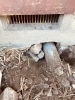 ネズミの侵入口「ネズミの侵入口はこんなところに！」