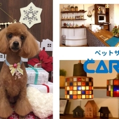 【開店】ペットのトリミングやお預かりに！　ペットサロン CARAT（からっと）が大和田新田にオープン