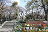 三崎水辺公園