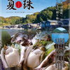 「夏といえば牡蠣！」