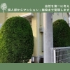 「合同会社 藤空豆【川口の造園会社】」