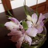 「お花のお稽古」