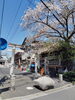 上千葉香取神社鳥居「🌸 桜満開いとをかし 🌸　★英会話と体操のコラボ教室（堀切、お花茶屋、綾瀬、亀有、小菅）」