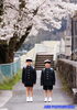 「桜ロケーション撮影は前写しがおススメです(^^♪」