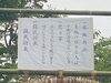 「茅の輪くぐり～三嶋大社～」