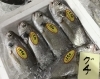 「魚魚市場鮮魚コーナーおすすめは「チカメキントキ」です♪」
