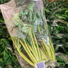 「「ゆき菜」の入荷も始まってまーす♪ 宮城県産　「仙台ゆき菜」」