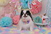 smile「Anniversaryphoto　(^O^)／」