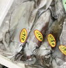 「魚魚市場鮮魚コーナーおすすめは「イトヒキダイ」です♪」