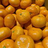 「蔵出しみかん🍊の入荷が始まりました。」
