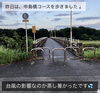 「先輩カップルさんが選ばれた、プラチナつや消し加工の『インセンブレ〜ほほえみ〜結婚指輪』をご紹介します💕」
