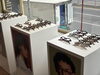 「【展示会に参加してきました】市川駅から徒歩３分　視能訓練士のメガネ屋 オオクシメガネ」
