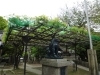 4月18日（木）のだふじだより | 大阪市福島区ののだふじ情報