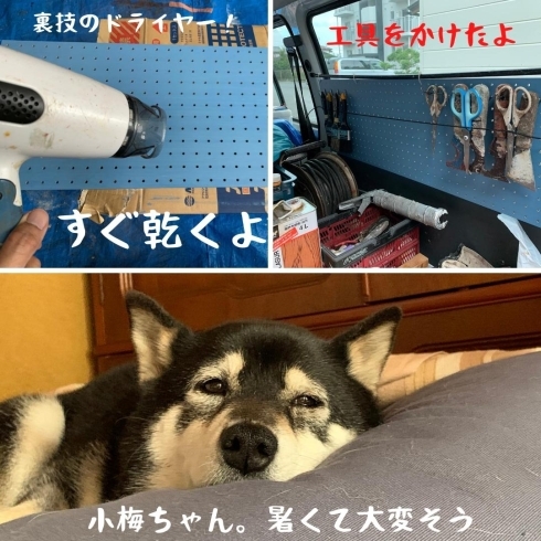 ドライヤーは便利で内装の現場でもよく使います。「DIYのススメ！塗装は簡単！ジャンボエンチョーとカインズで材料を買ってみた！」