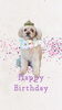 「Dog salon mofu mofu　余市町」