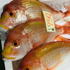「魚魚市場鮮魚コーナーおすすめ商品は「ヤリイカ・アジ」です♡」
