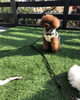 ＳＵＢくんとのびのびなふたりの足 (笑)「（╹◡╹）こんばんは」