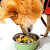 「今日のお友達」